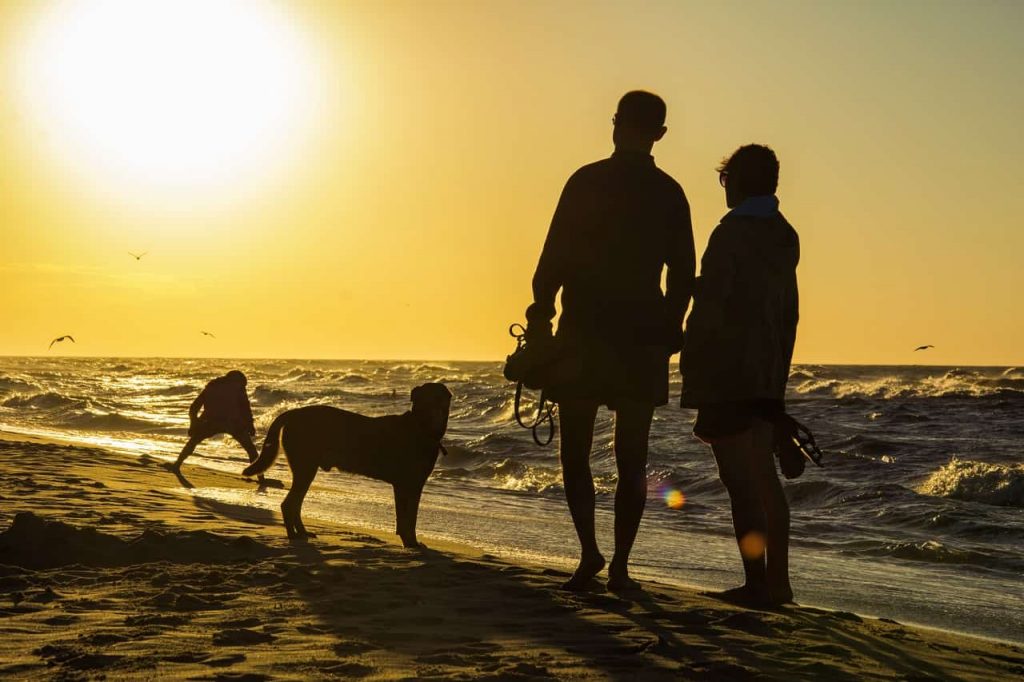 Ubezpieczenie na życie ze zwrotem składki